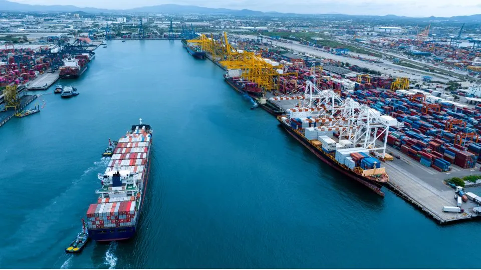 Ocean Freight Rates: What Influences Costs and How to Save Money 