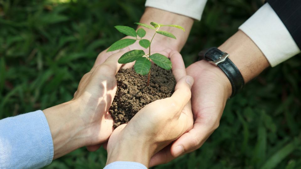 Sustainability Initiatives in Freight