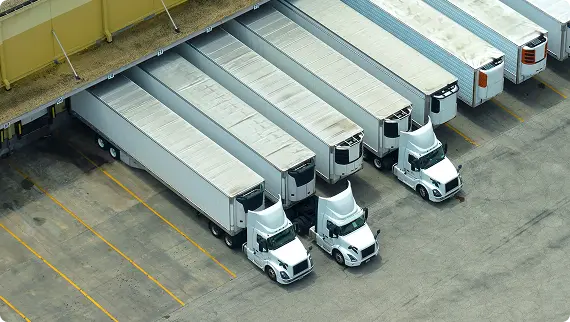 Container Freight Station logistics management system